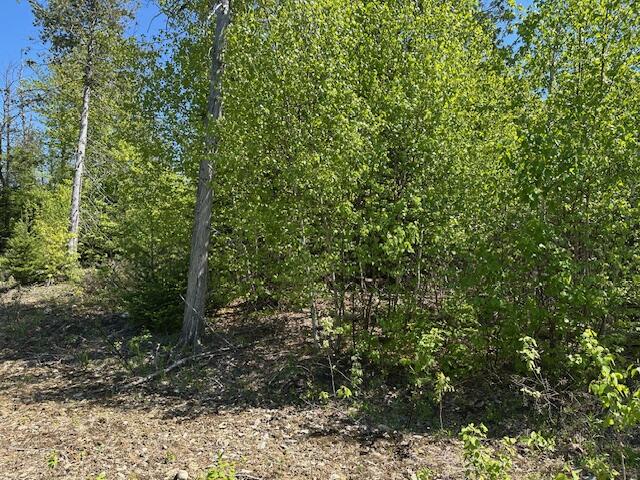 Lot 2 Mt Jefferson Heights Lee, ME 04455 - Photo 3 of 19 IMG_5120