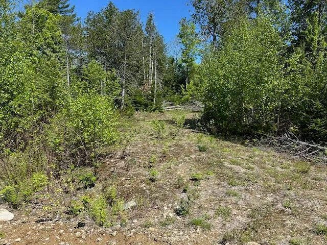 $79,000 | Lot 2 Mt Jefferson Heights, Lee, ME 04455