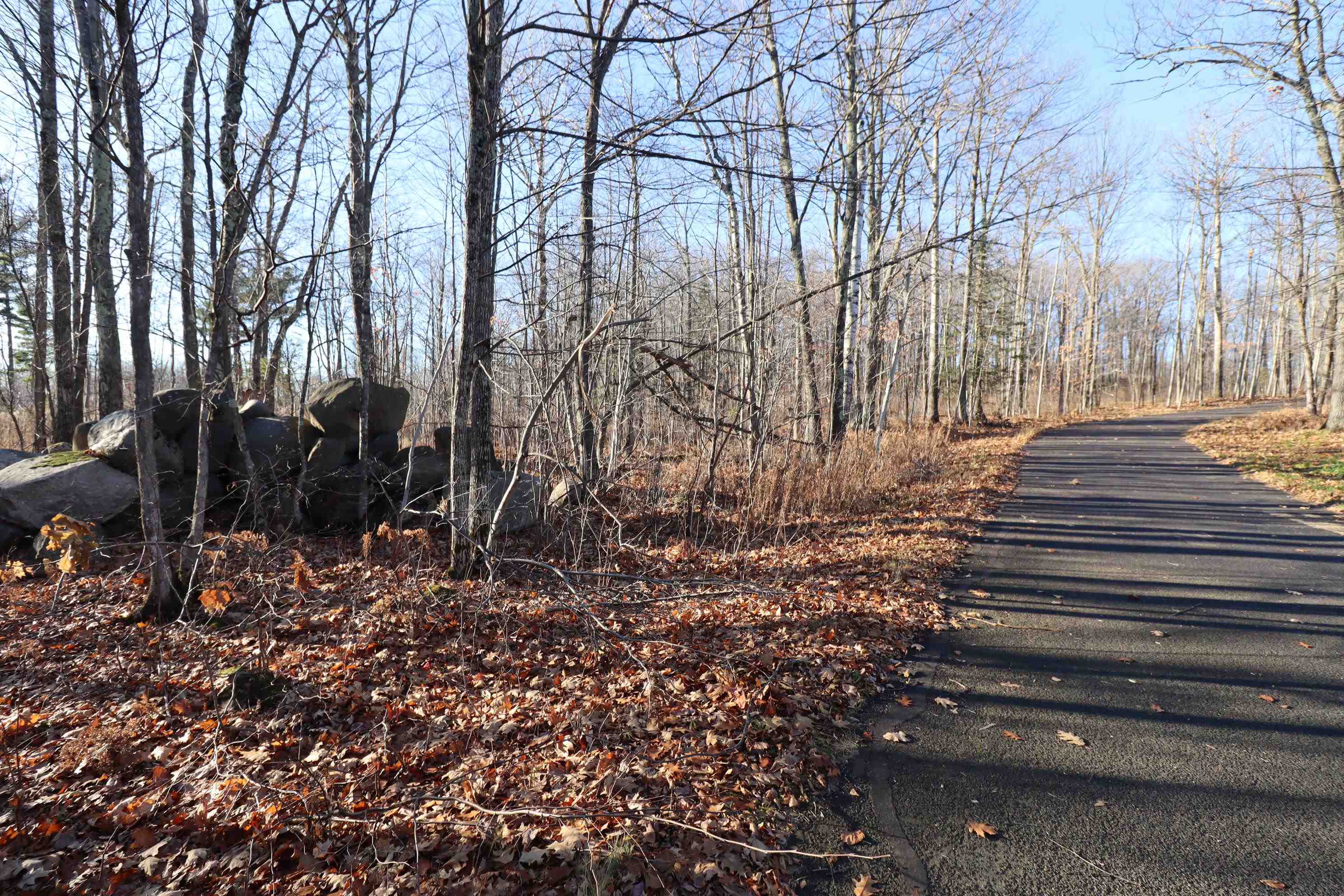 Lot 29 Madeline Trail Bayfield, WI 54814 - Photo 13 of 15