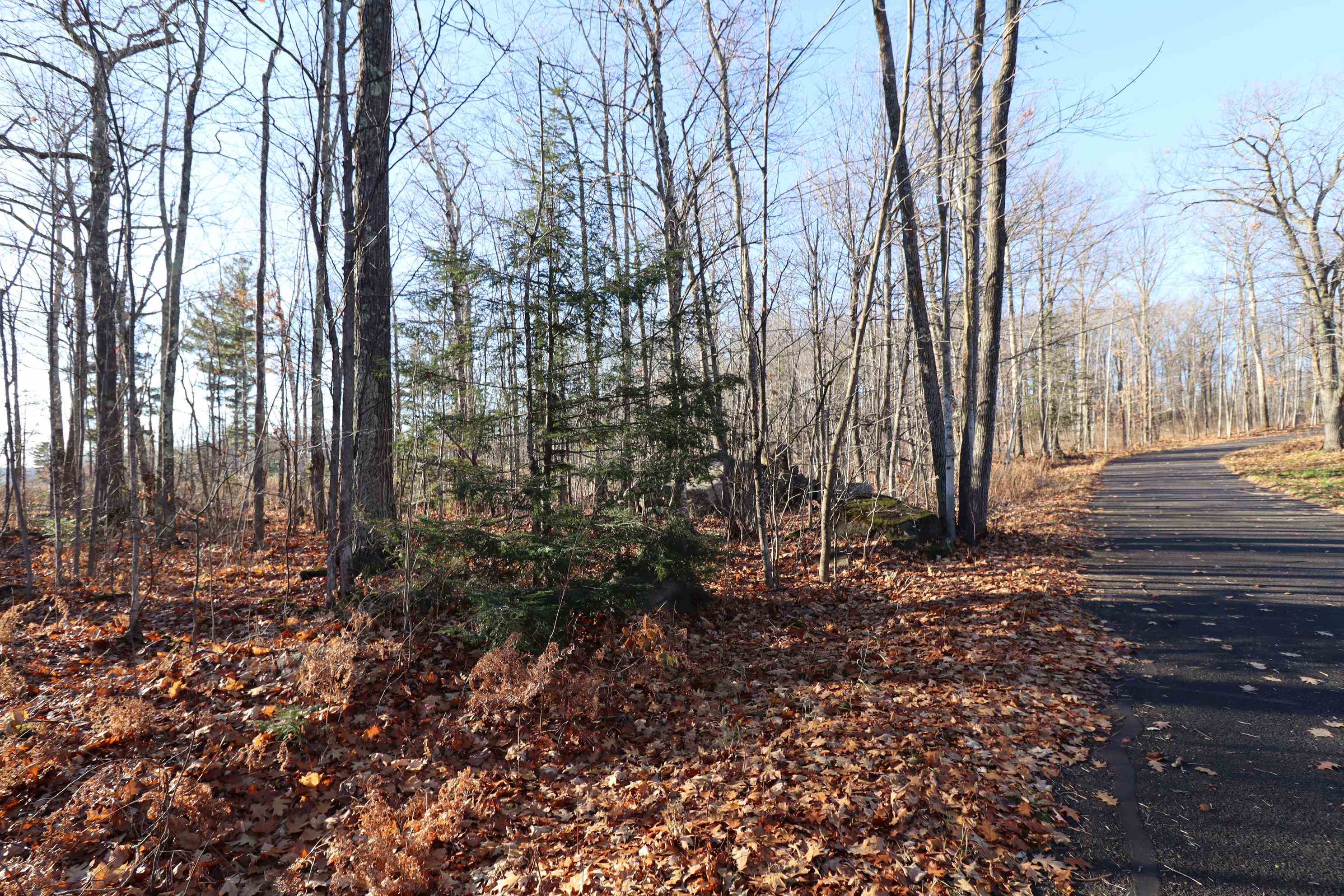 Lot 29 Madeline Trail Bayfield, WI 54814 - Photo 14 of 15