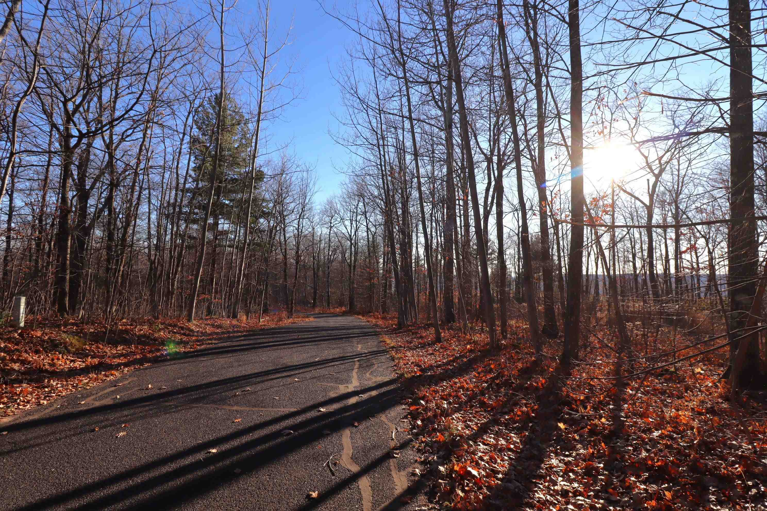 Lot 29 Madeline Trail Bayfield, WI 54814 - Photo 4 of 15 Gorgeous Area