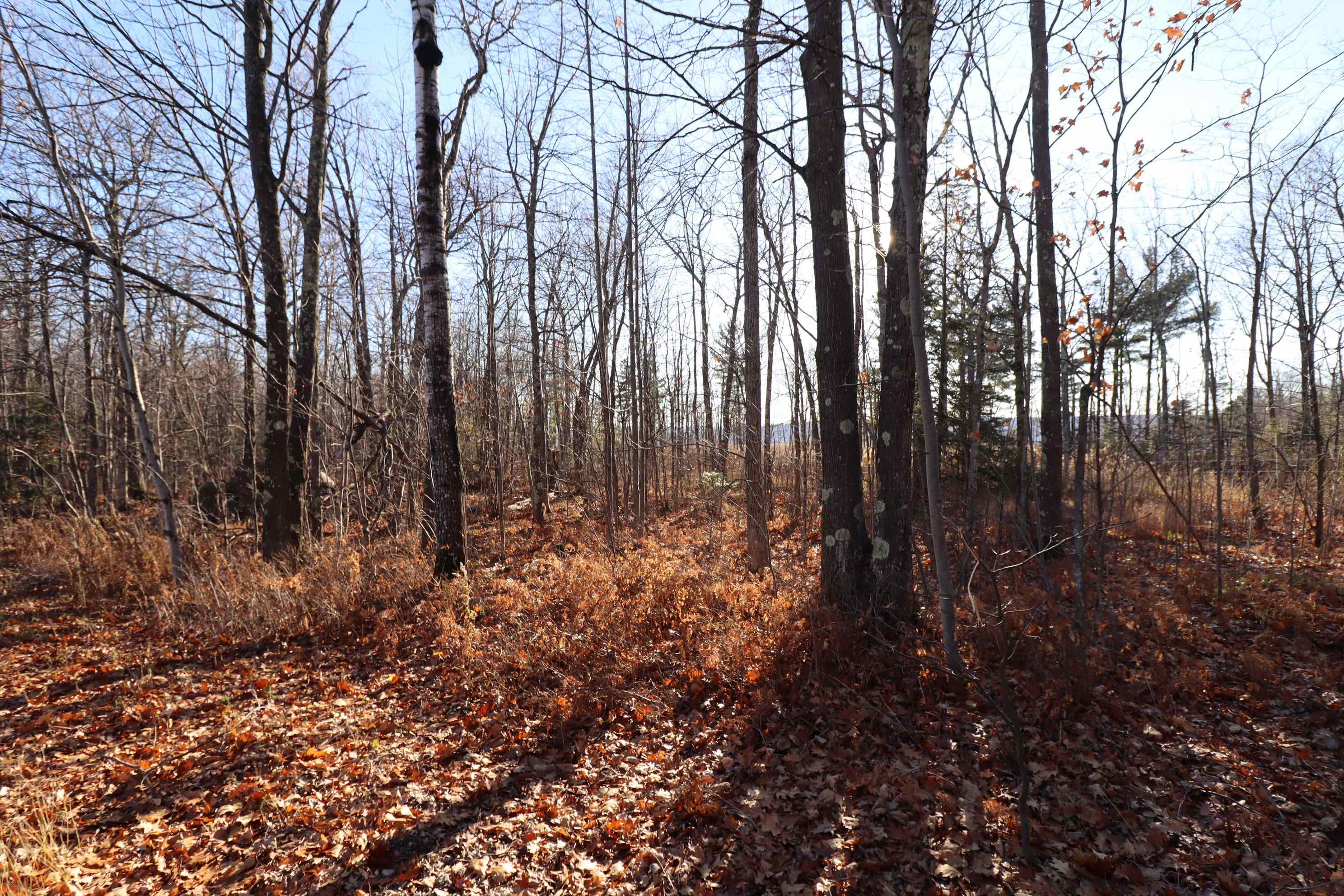 Lot 29 Madeline Trail Bayfield, WI 54814 - Photo 8 of 15