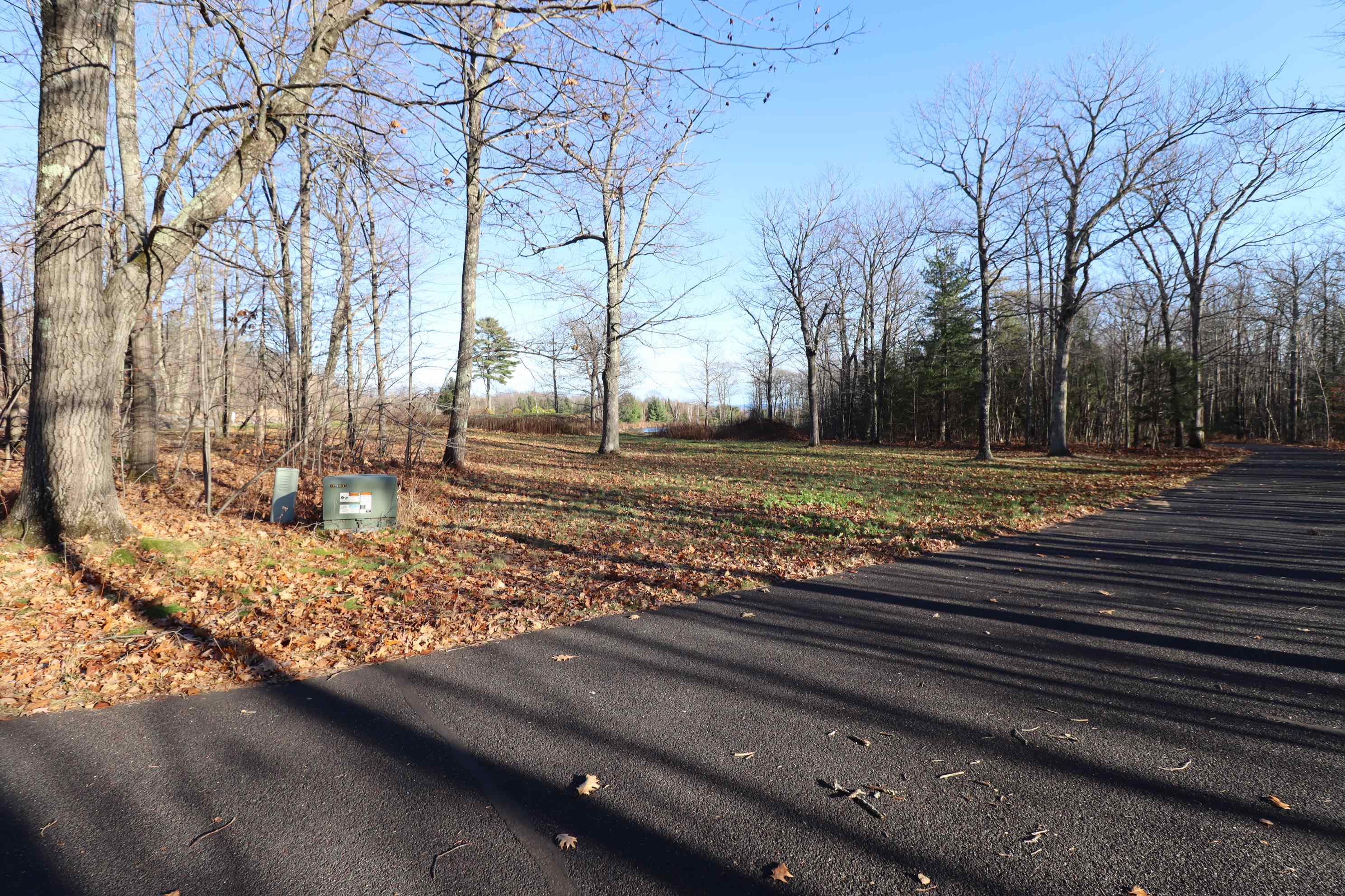 Lot 29 Madeline Trail Bayfield, WI 54814 - Photo 9 of 15 View Across The Road