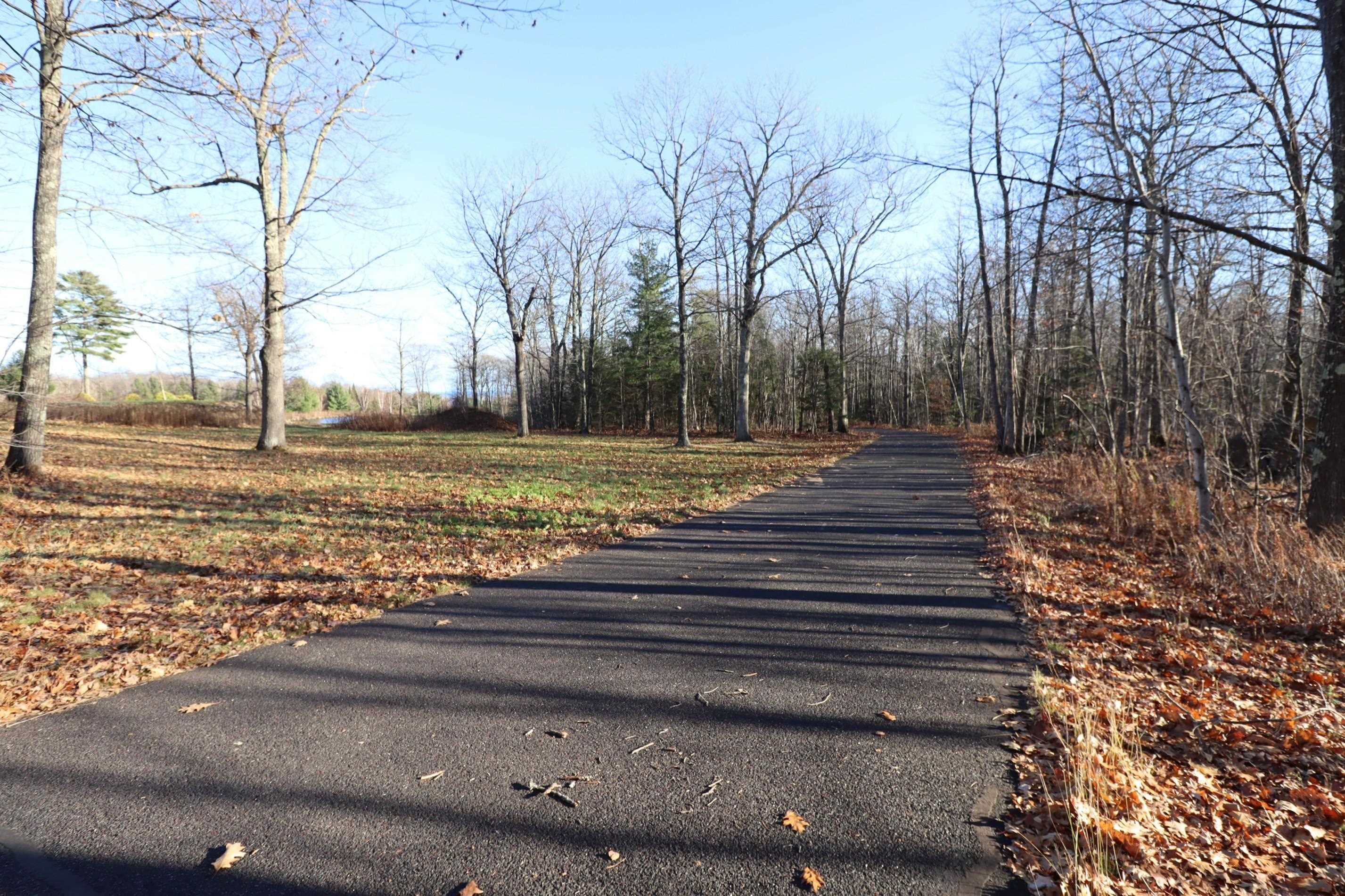 Lot 29 Madeline Trail Bayfield, WI 54814 - Photo 10 of 15