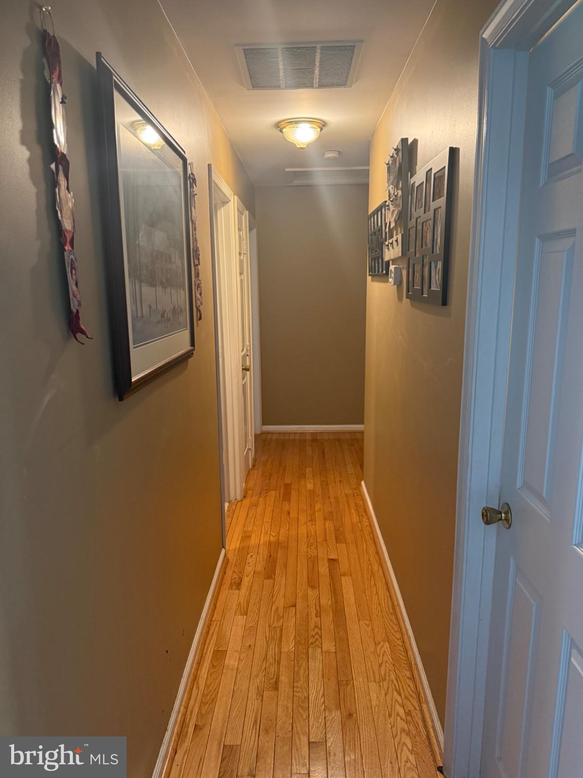 13420 Chestnut Fork Road Culpeper, VA 22701 - Photo 19 of 19 Inviting hallway with warm tones.