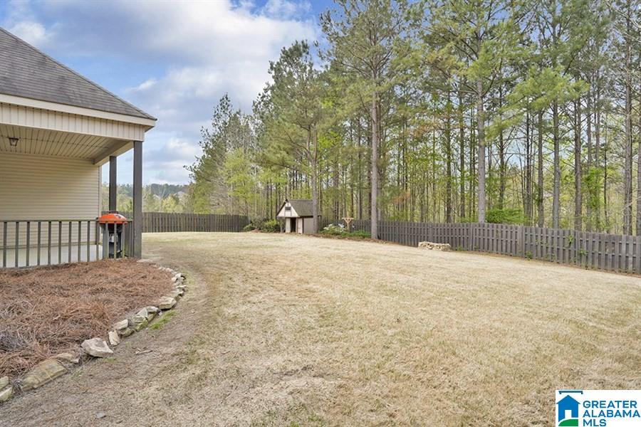 591 Village Springs Lane Springville, AL 35146 - Photo 18 of 23
