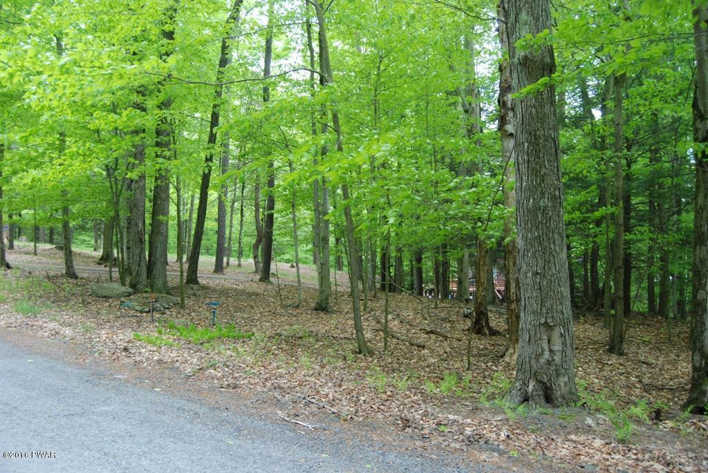 927 Hibernation Road Lake Ariel, PA 18436 - Photo 7 of 14