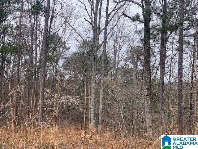 4126 Grey Hill Road, Unit 1 West Blocton, AL 35184 - Photo 1 of 2