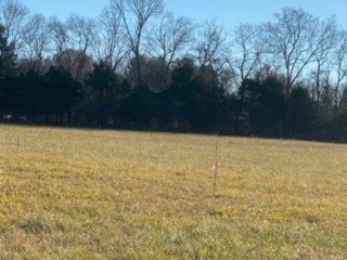 4002 East Compton Road Murfreesboro, TN 37130 - Photo 4 of 11 a view of yard with trees