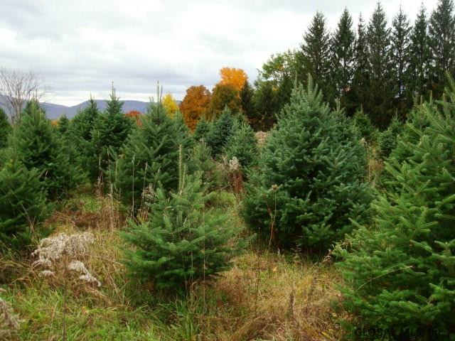 North Road Medusa, NY 12120 - Photo 3 of 11 Photo 3