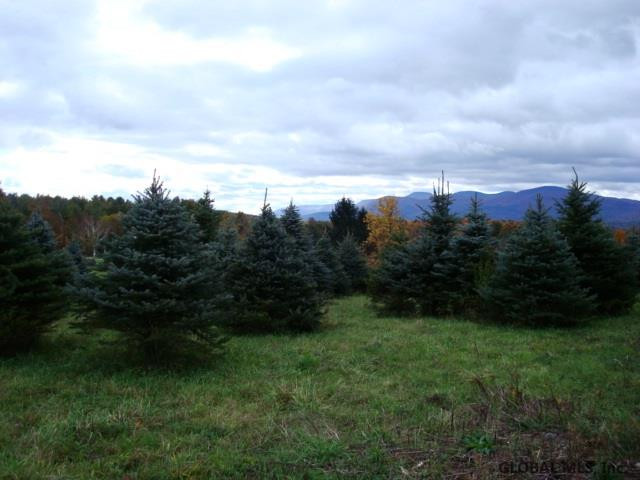North Road Medusa, NY 12120 - Photo 7 of 11 Photo 7