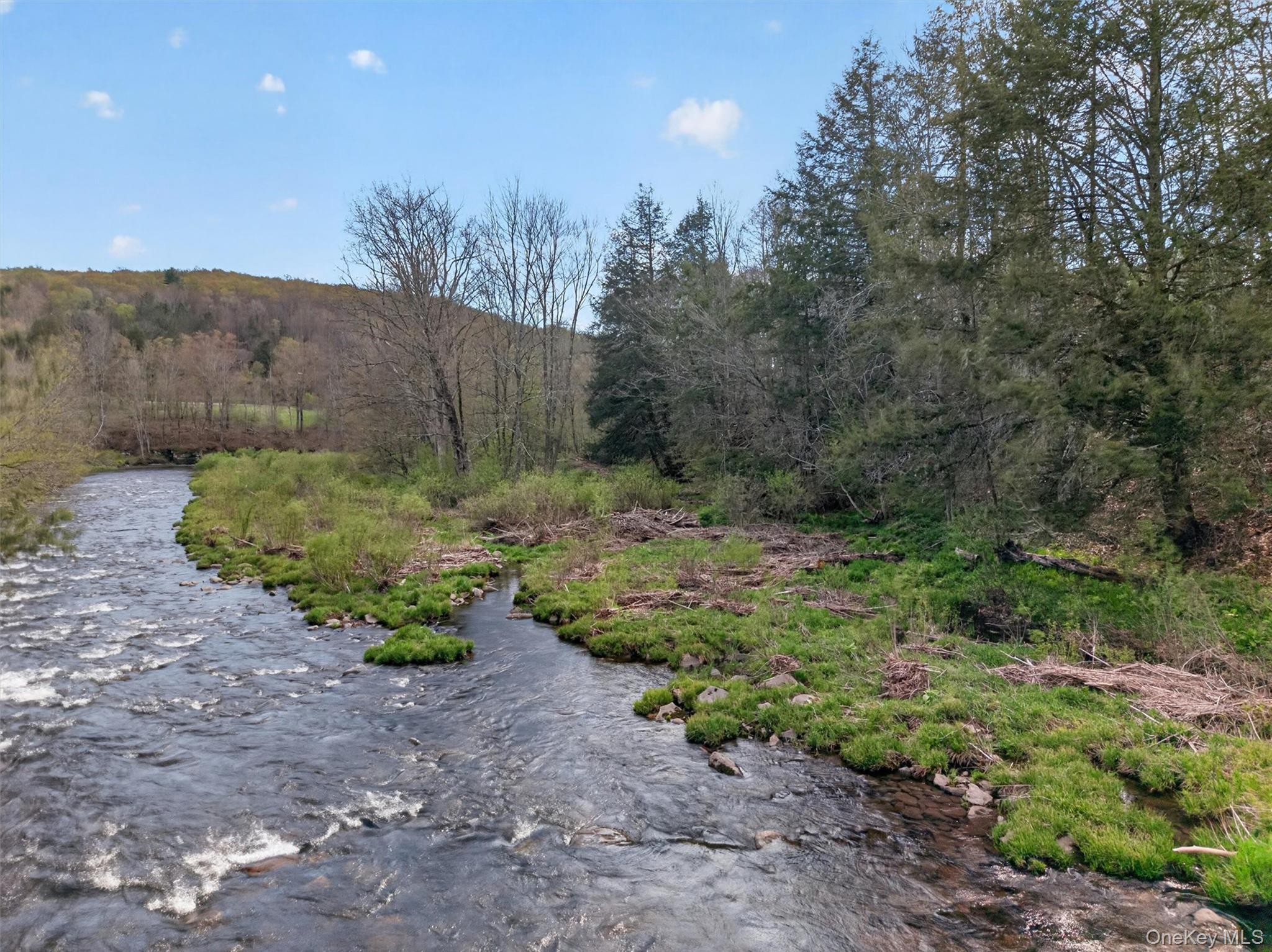674 Debruce Road Livingston Manor, NY 12758 - Photo 4 of 34