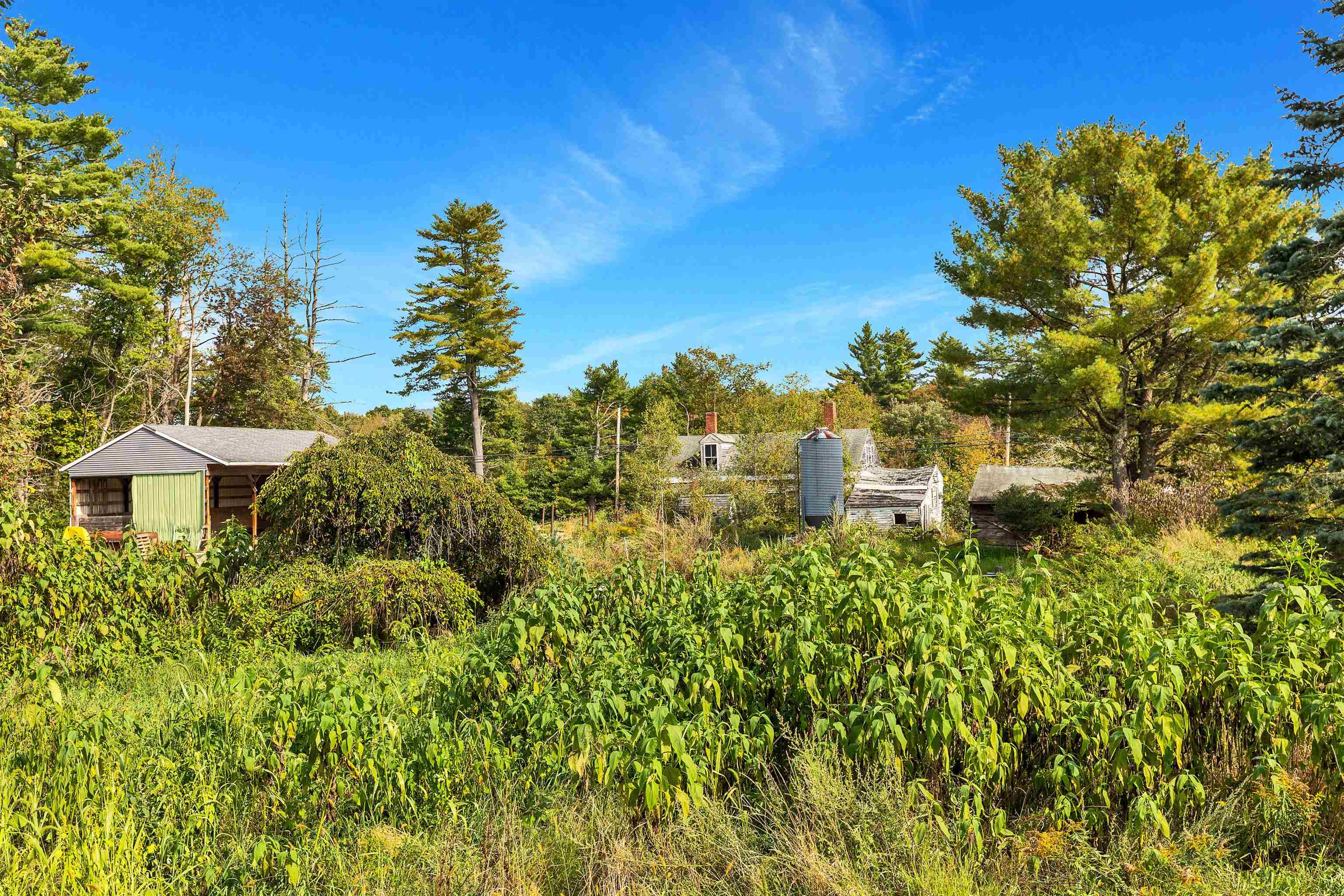 53 Carpenter Road Chichester, NH 03258 - Photo 34 of 38