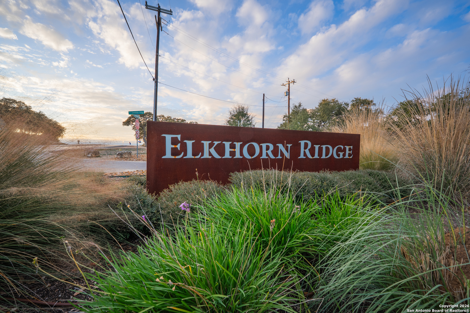 29203 Cheyenne Ridge Boerne, TX 78015 - Photo 38 of 41