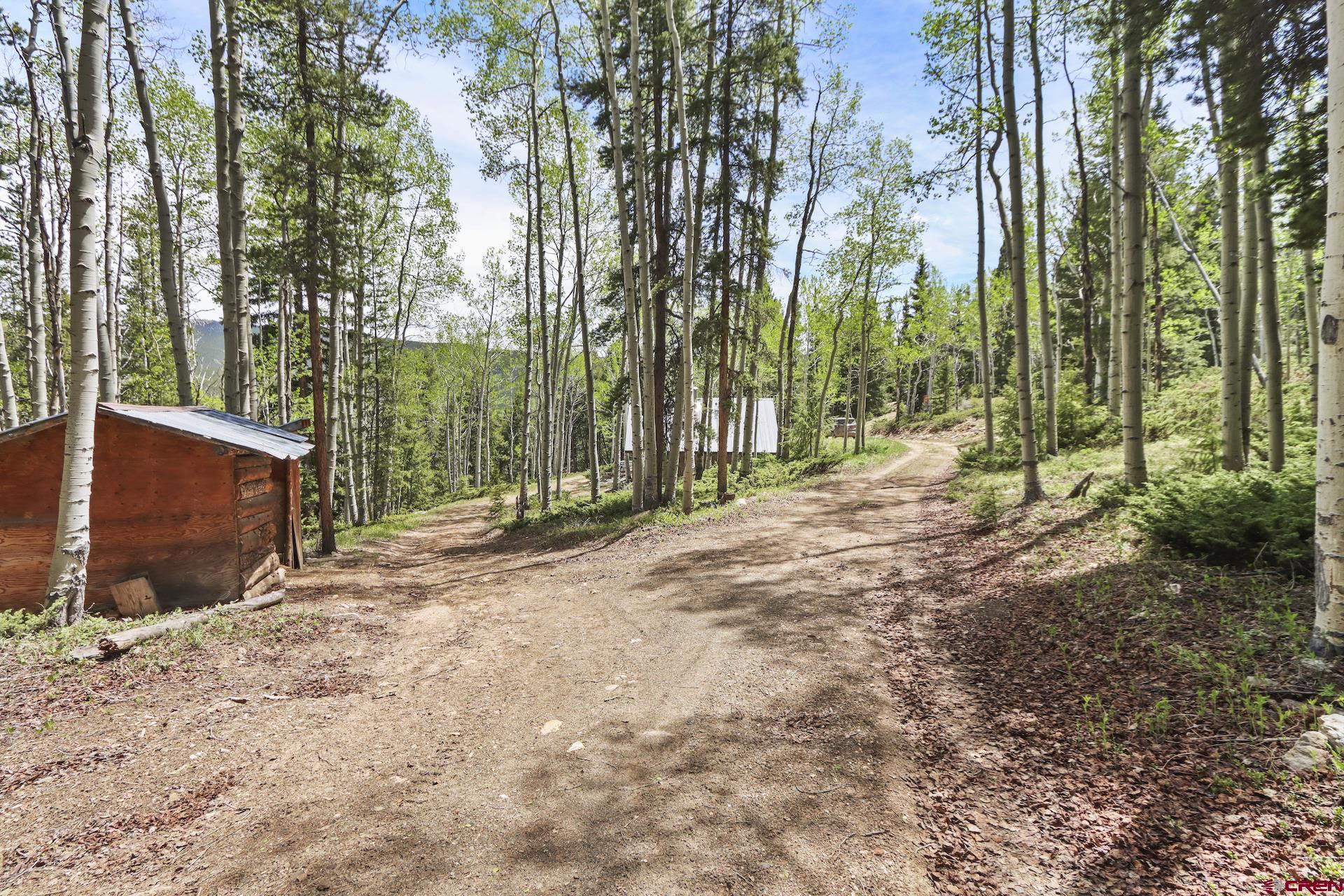 435 Soul's Ease Road Pitkin, CO 81241 - Photo 31 of 35 Driveway down to the cabin off of Soulsease Road.