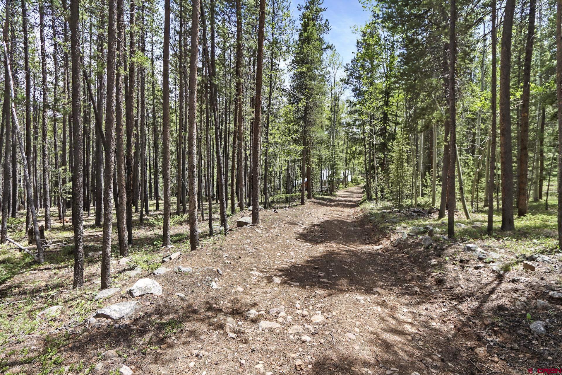 435 Soul's Ease Road Pitkin, CO 81241 - Photo 5 of 35 Gallery Image 5
