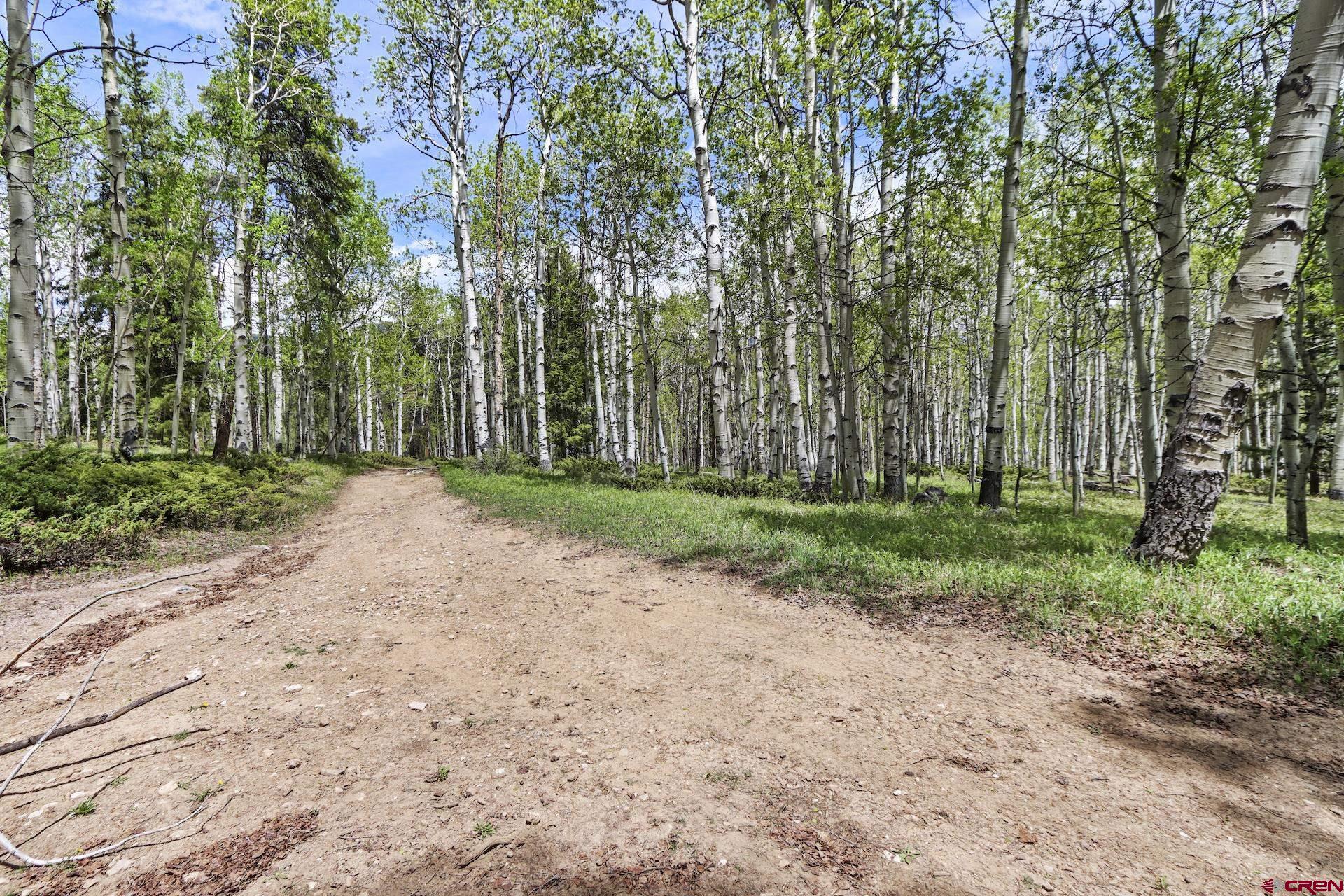 435 Soul's Ease Road Pitkin, CO 81241 - Photo 6 of 35 Gallery Image 6