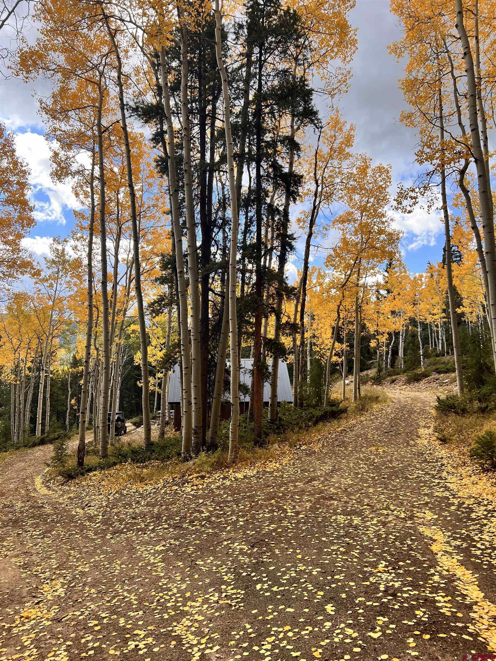 435 Soul's Ease Road Pitkin, CO 81241 - Photo 8 of 35 Beautiful year round!