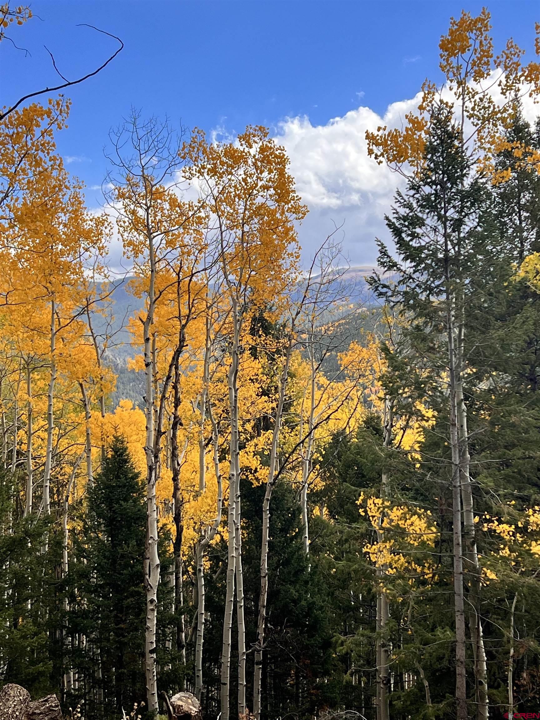 435 Soul's Ease Road Pitkin, CO 81241 - Photo 10 of 35 These views never get old!