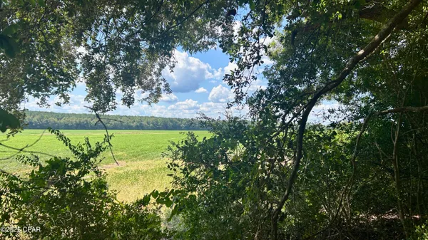 $534,900 | 0 Co 147 Highway, Laurel Hill, FL 32567