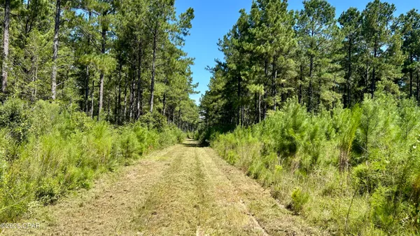 $534,900 | 0 Co 147 Highway, Laurel Hill, FL 32567