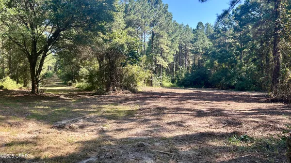 $534,900 | 0 Co 147 Highway, Laurel Hill, FL 32567