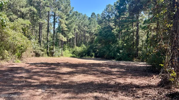 $534,900 | 0 Co 147 Highway, Laurel Hill, FL 32567