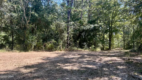 $534,900 | 0 Co 147 Highway, Laurel Hill, FL 32567
