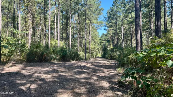 $534,900 | 0 Co 147 Highway, Laurel Hill, FL 32567