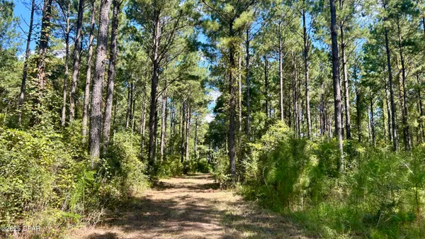 $534,900 | 0 Co 147 Highway, Laurel Hill, FL 32567