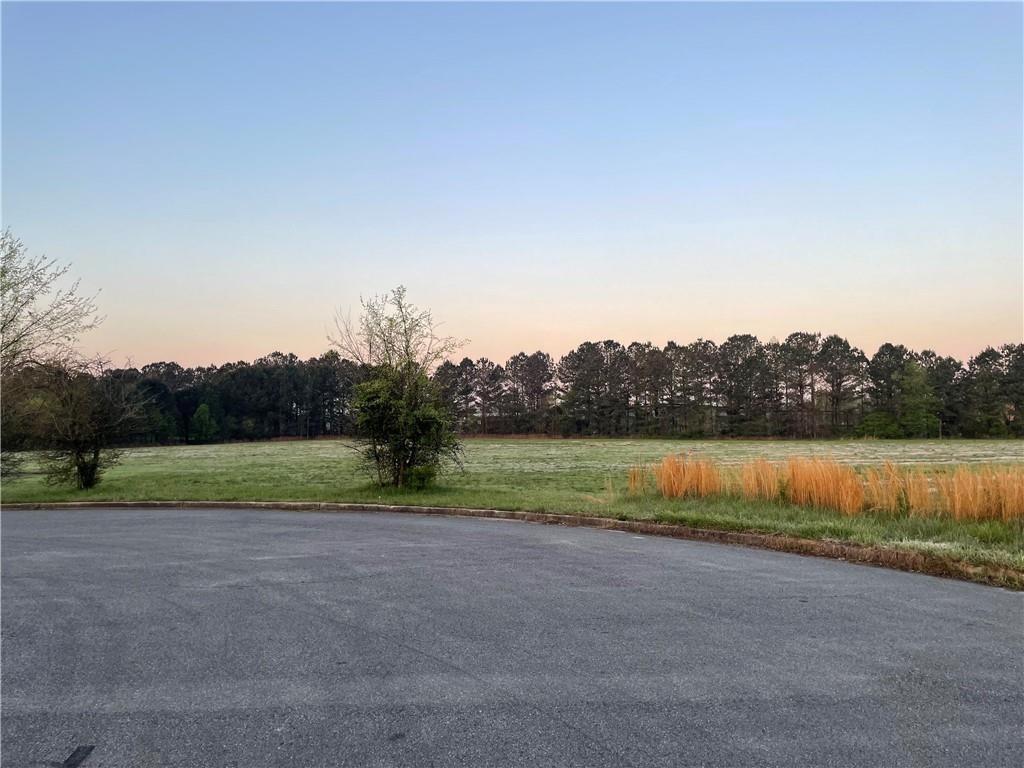 52 Curtis Court Southwest Cartersville, GA 30120 - Photo 3 of 3