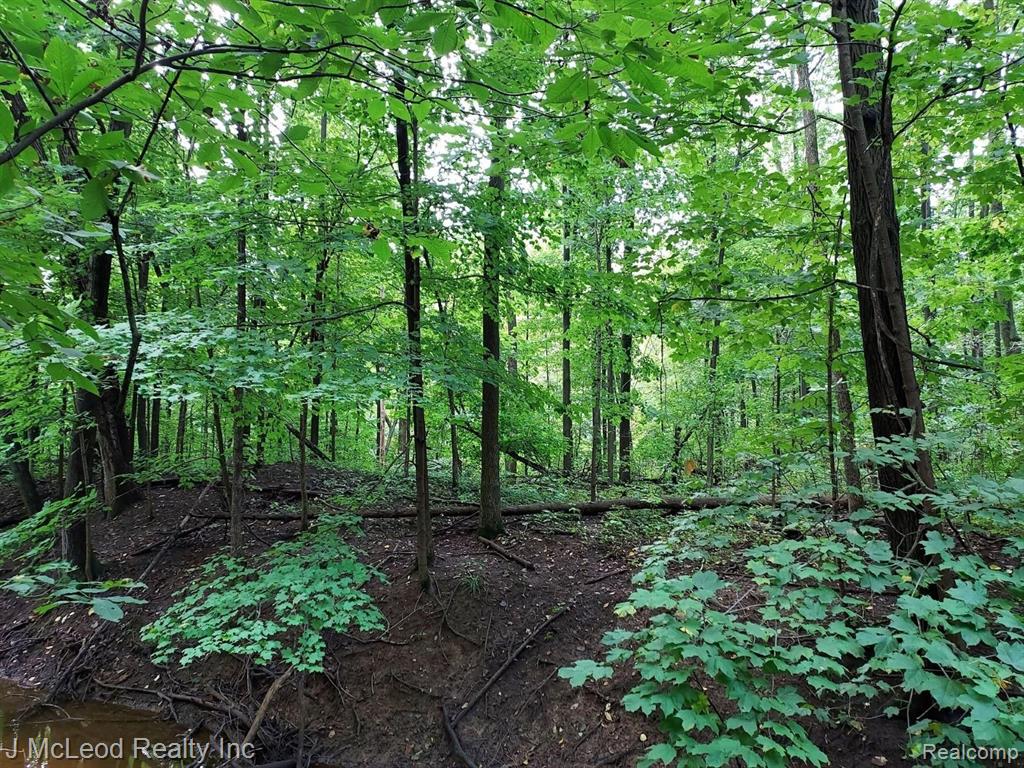 Vl Vassar Road Millington, MI 48746 - Photo 6 of 26