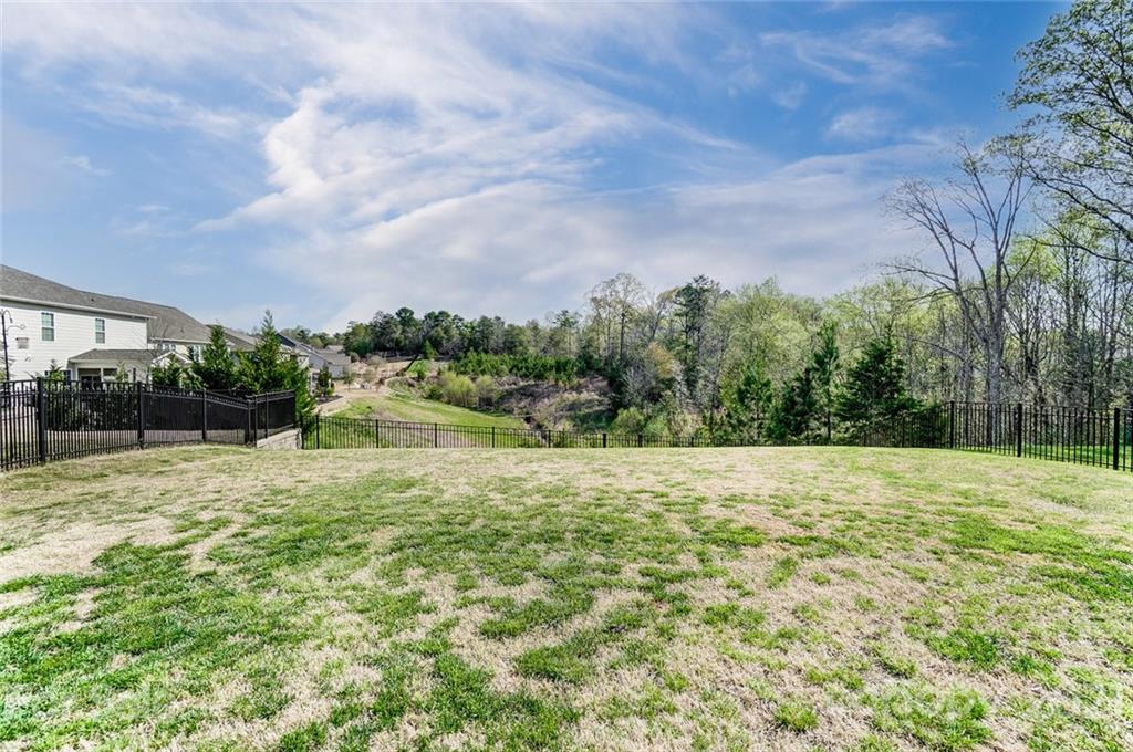 2033 Fuschia Court Tega Cay, SC 29708 - Photo 34 of 35 Gallery Image 34