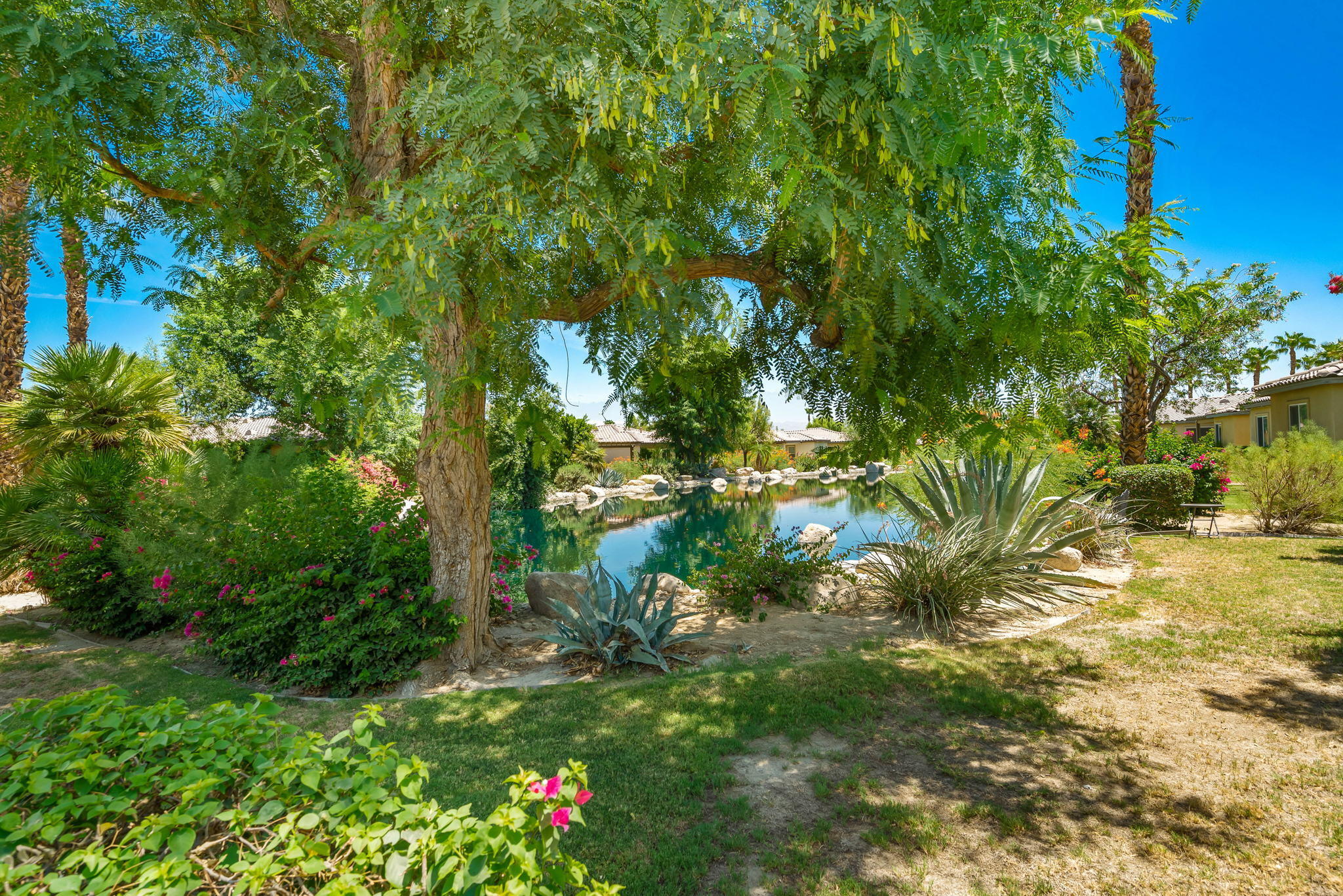 49728 Pacino Street Indio, CA 92201 - Photo 51 of 54 a view of a garden with plants and large trees