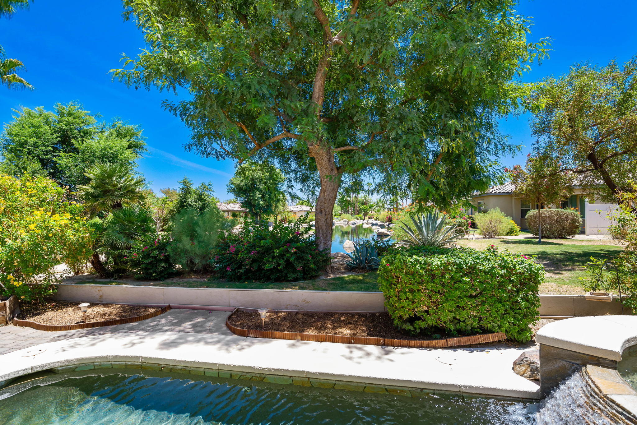 49728 Pacino Street Indio, CA 92201 - Photo 54 of 54 a view of a garden with a tree