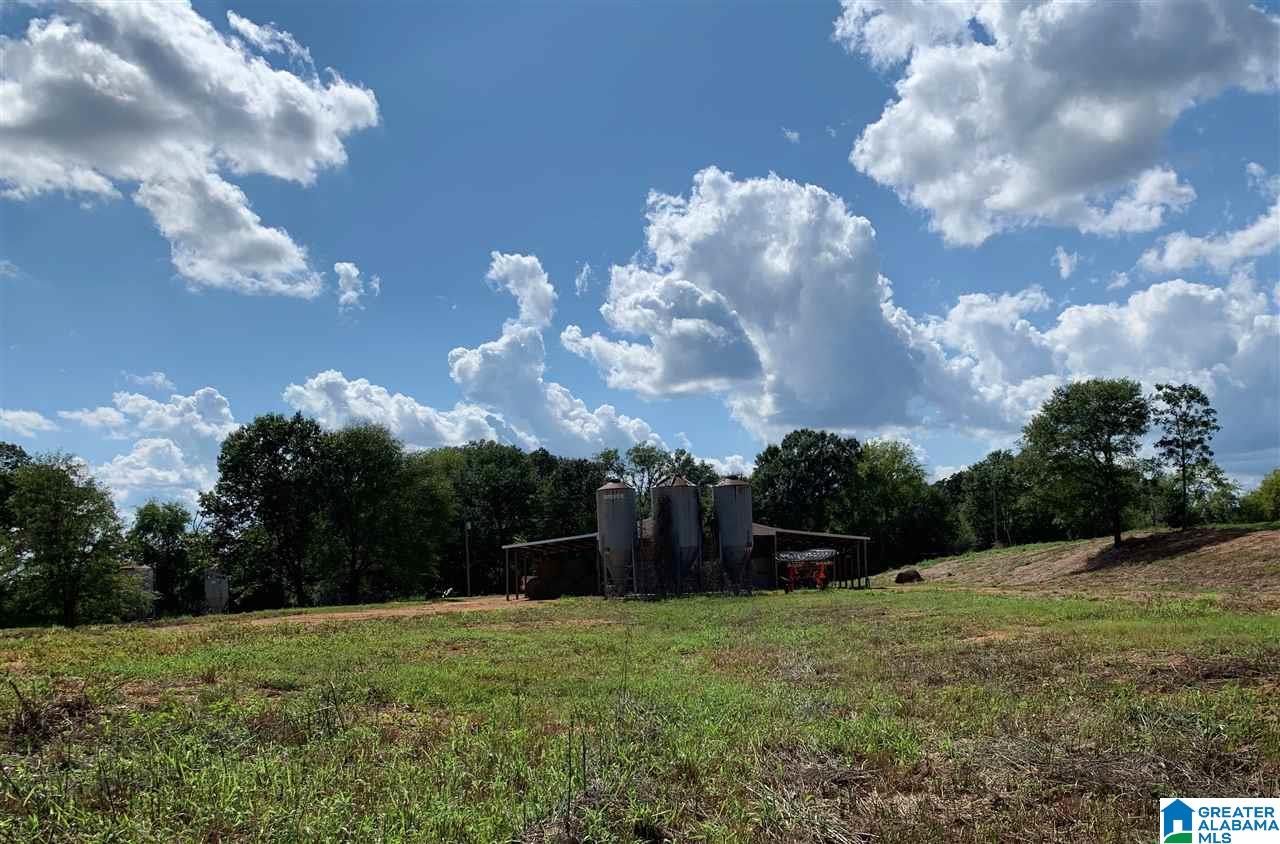 11392 Stemley Road Lincoln, AL 35096 - Photo 11 of 25