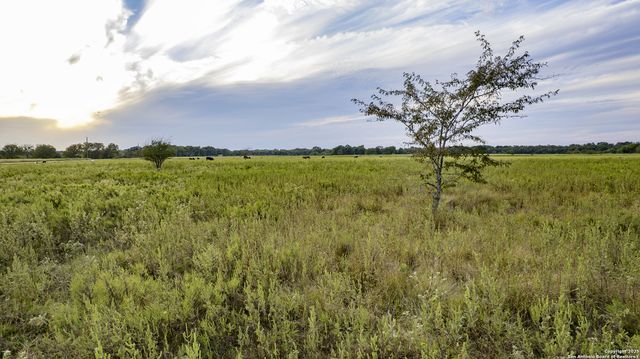 a view of a lake with a yard