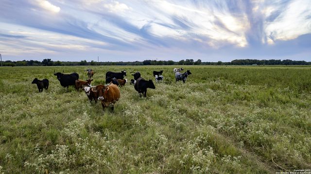 a view of a lake with houses in the back