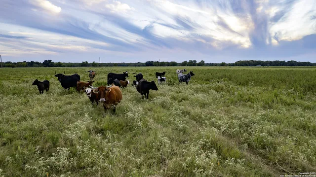 a view of a lake with houses in the back