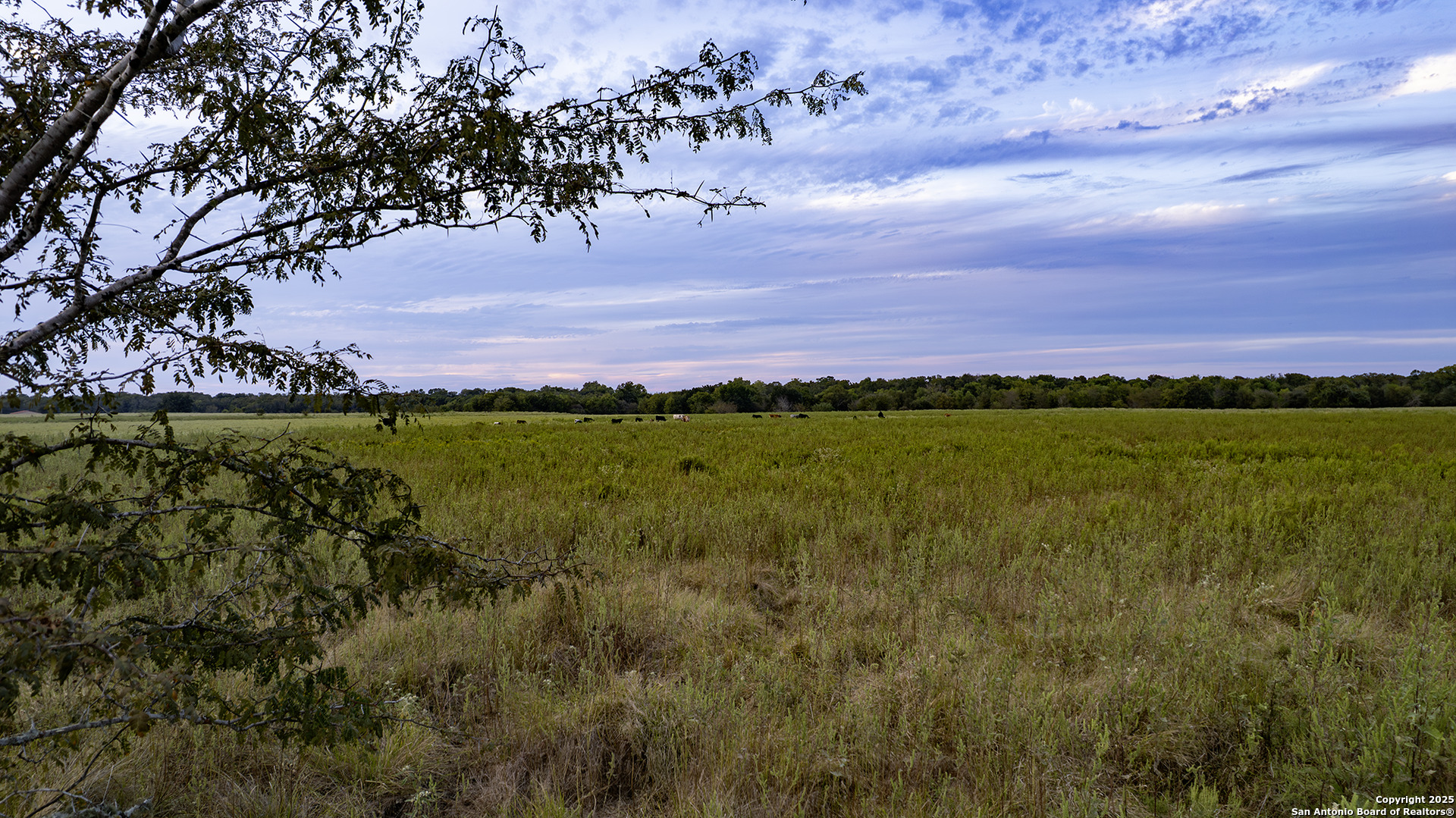 25119 Highway 287 Athens, TX 75751 - Photo 4 of 12 a view of a lake with houses in the back
