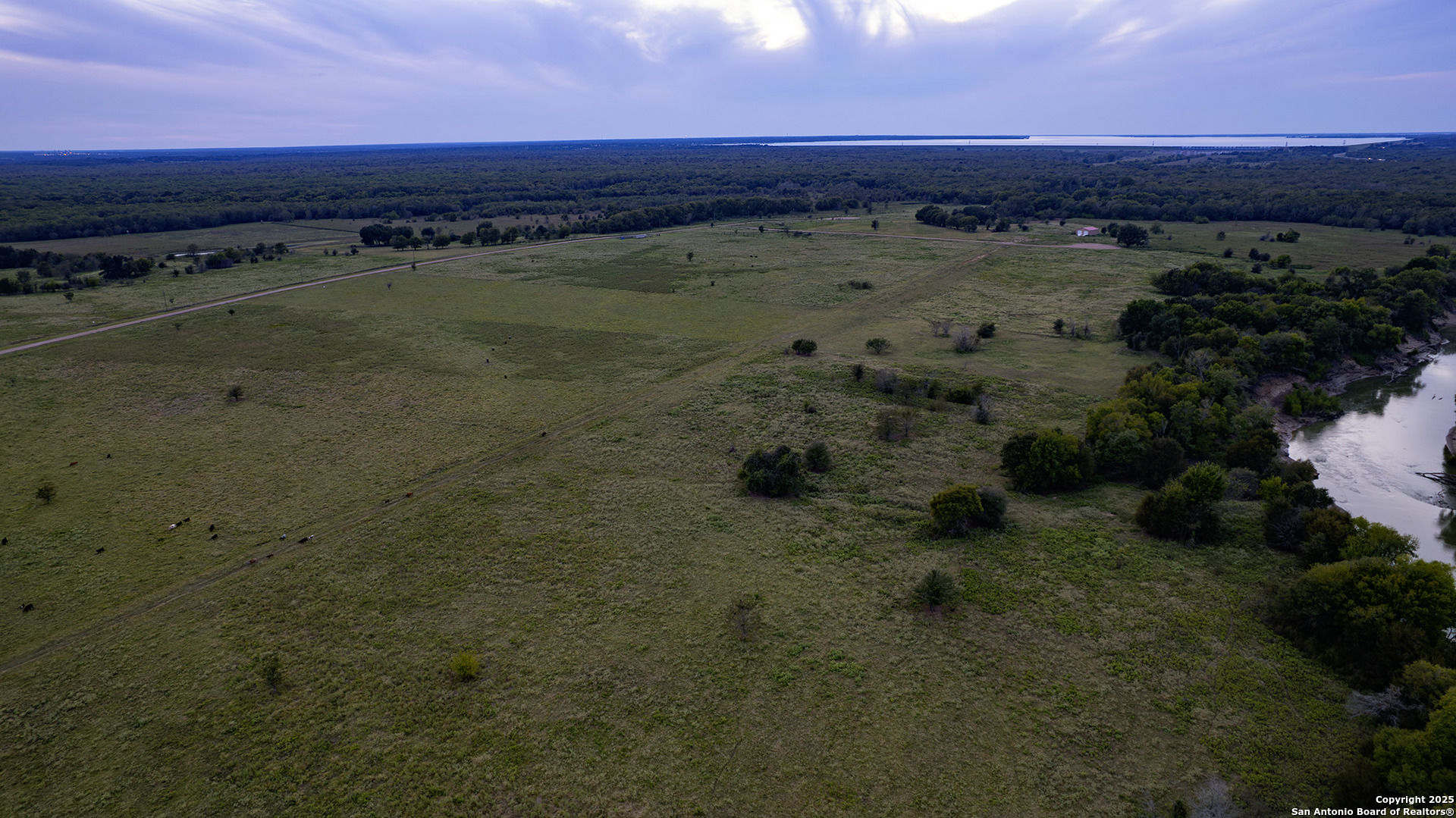 25119 Highway 287 Athens, TX 75751 - Photo 7 of 12 a view of a dry yard with wooden floor and city view
