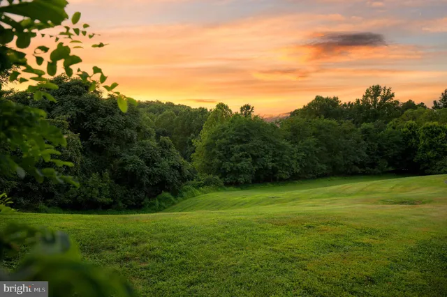 a view of a grassy field with trees