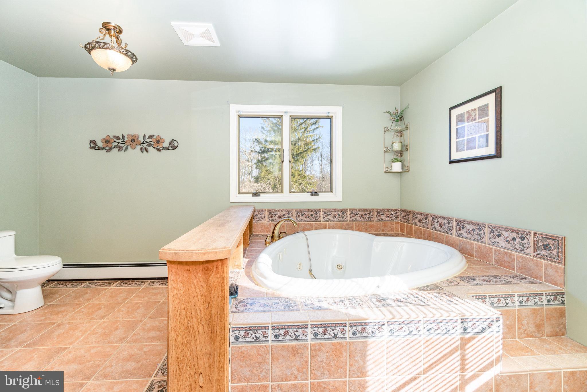 49 Main Street Pine Grove, PA 17963 - Photo 18 of 38 a bath tub sitting next to a white toilet
