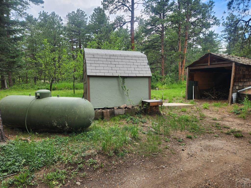 8197 Maple Drive Rye, CO 81069 - Photo 24 of 24