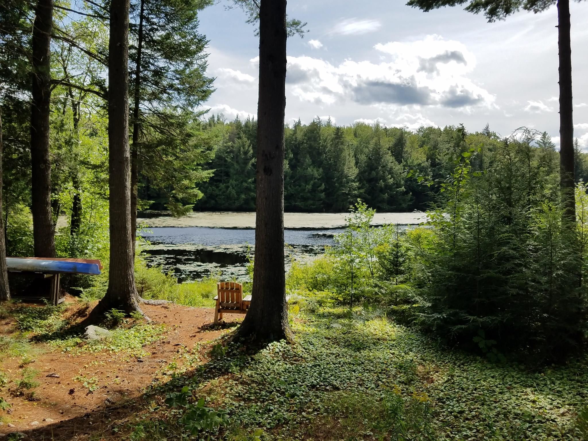 545 Bog Road Campton, NH 03223 - Photo 29 of 39 Gallery Image 29