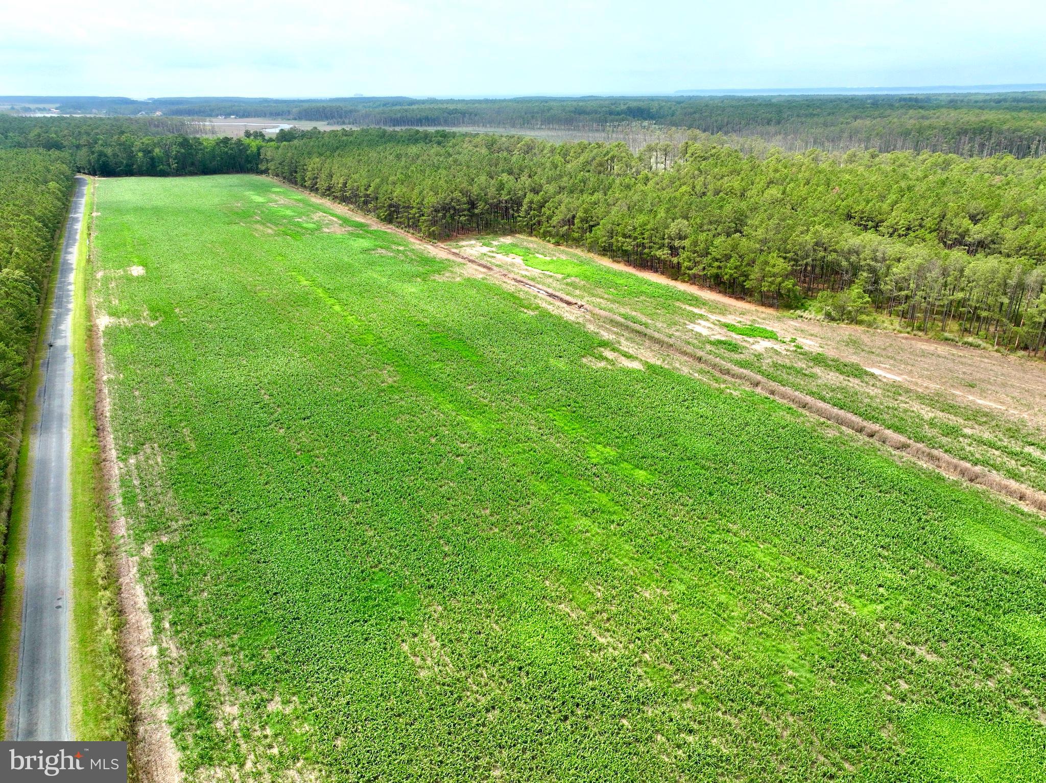 0 Hooper Neck Road Madison, MD 21648 - Photo 8 of 129 17+/- AC tillable ground