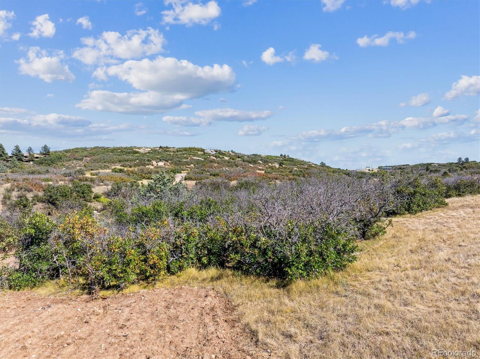 1725 North Rocky View Road Castle Rock, CO 80108 - Photo 4 of 13