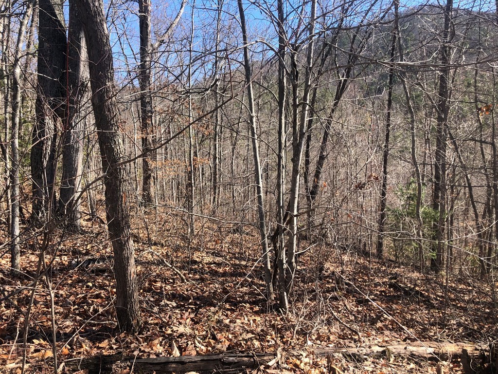40 Hickory Tree Street Sevierville, TN 37876 - Photo 18 of 22