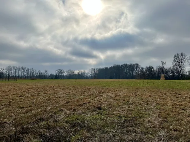 a view of a lake with houses in the background