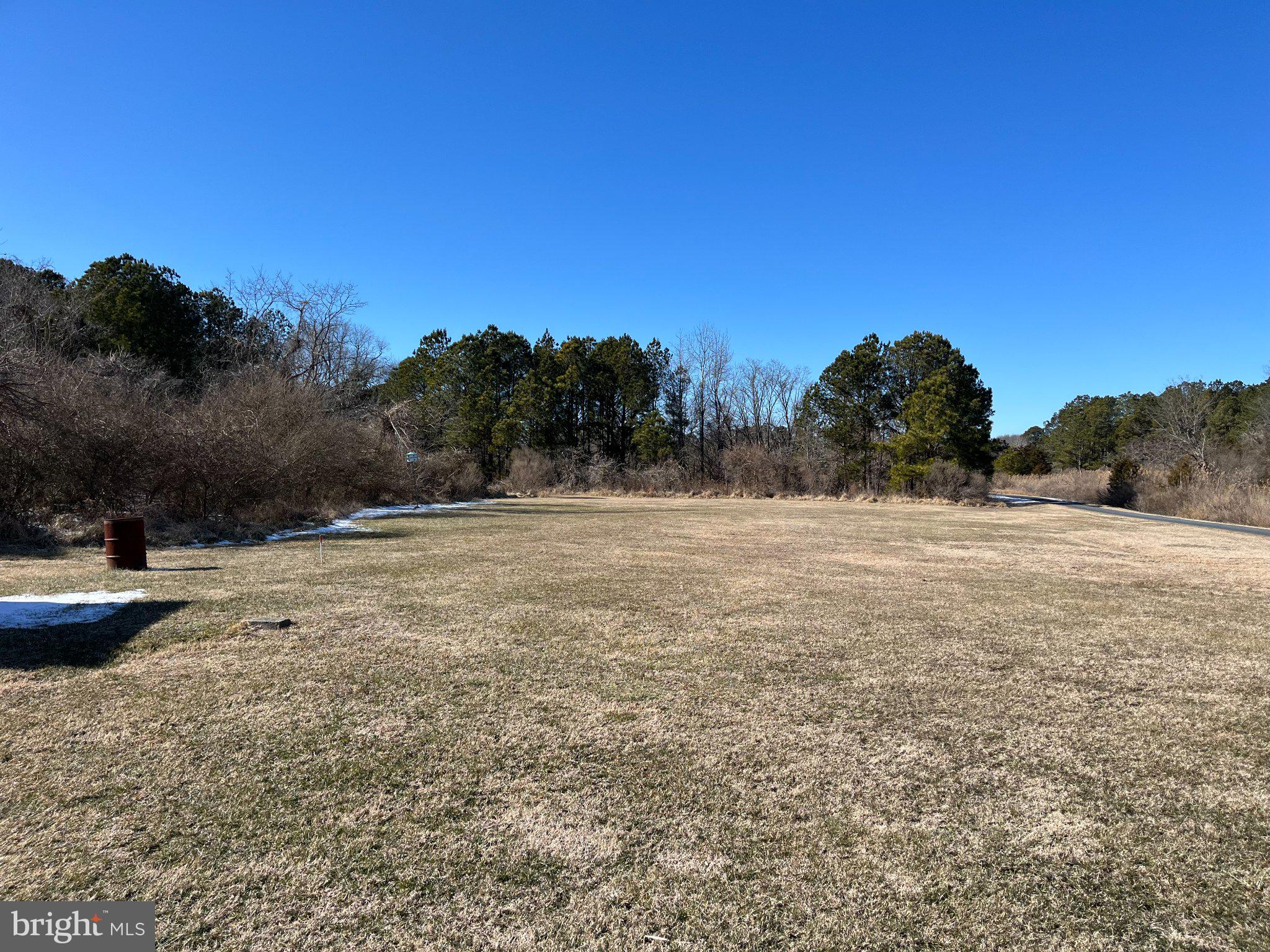 10762 Toddville Road Chance, MD 21821 - Photo 5 of 5 1-acre, cleared lot; backyard view